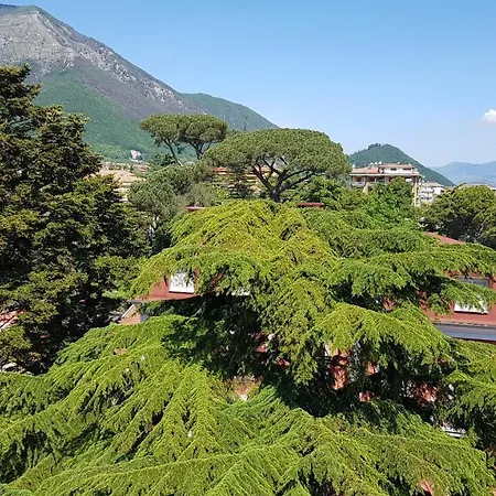 B&B Il Cedro-2