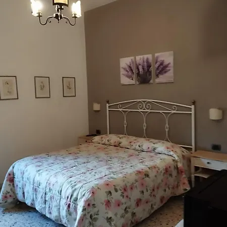 B&B Da Vincenzo-2